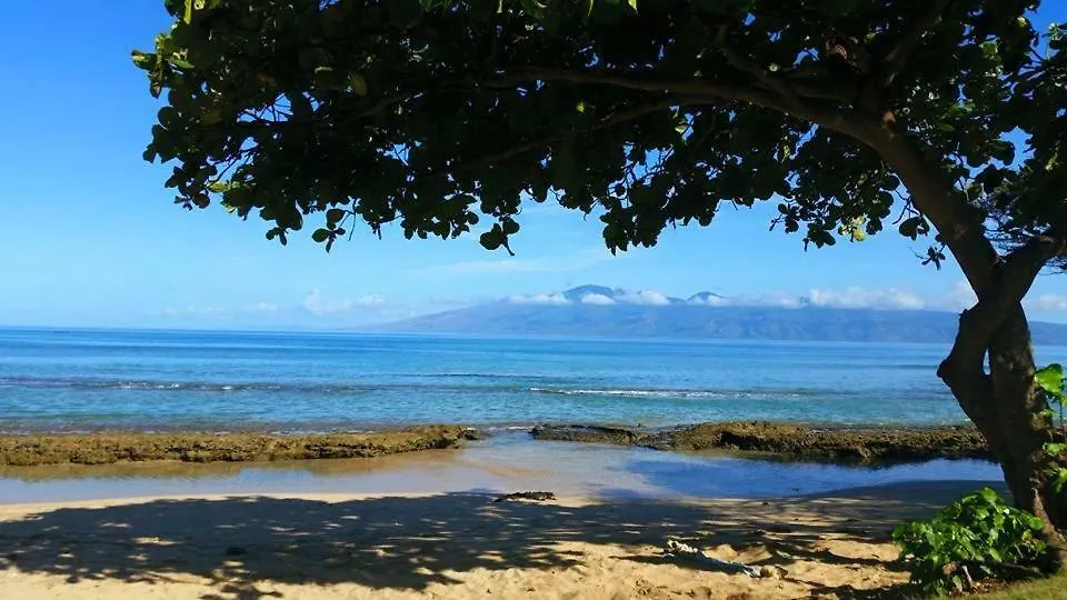 Lahaina Wonderful Condos United States